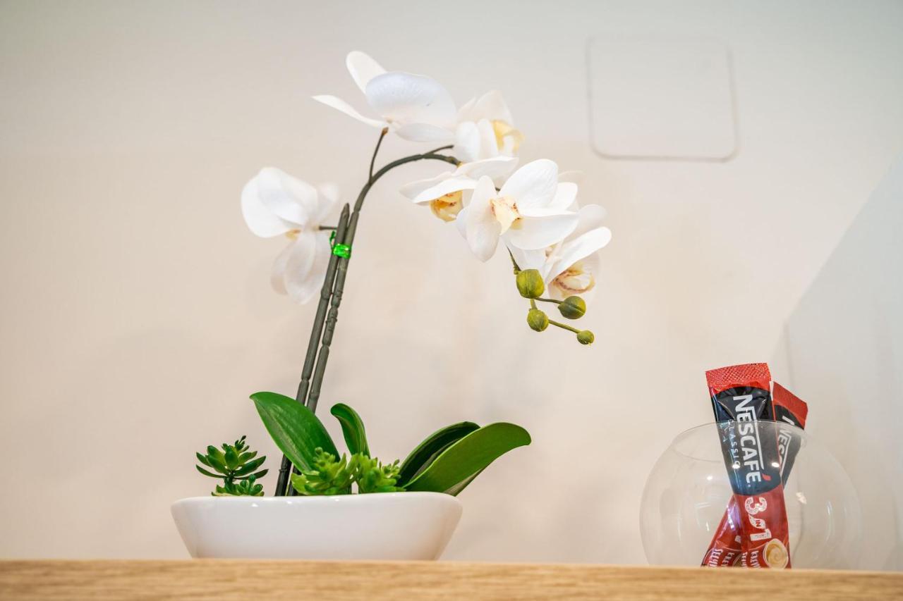 Studio Apartment Lapad Ντουμπρόβνικ Εξωτερικό φωτογραφία