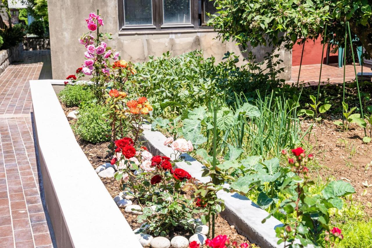 Studio Apartment Lapad Ντουμπρόβνικ Εξωτερικό φωτογραφία