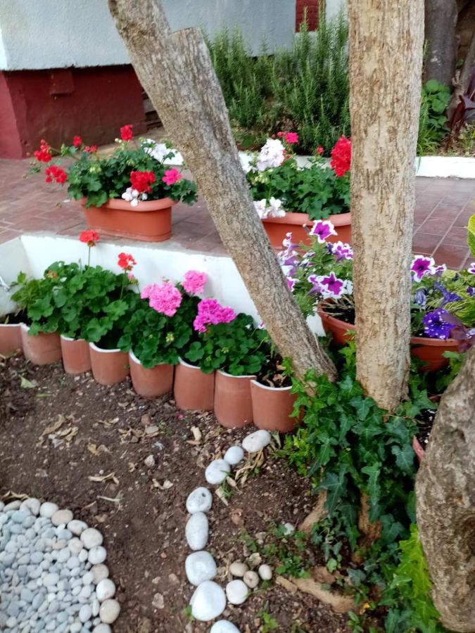 Studio Apartment Lapad Ντουμπρόβνικ Εξωτερικό φωτογραφία